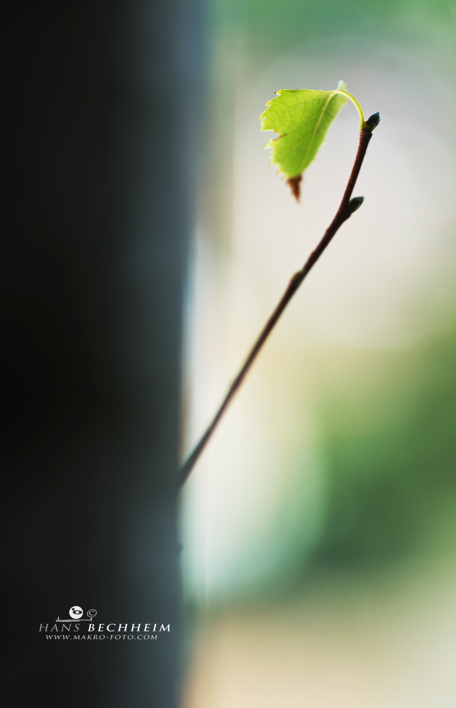 fotografieren lernen, minimalistische Fotografie