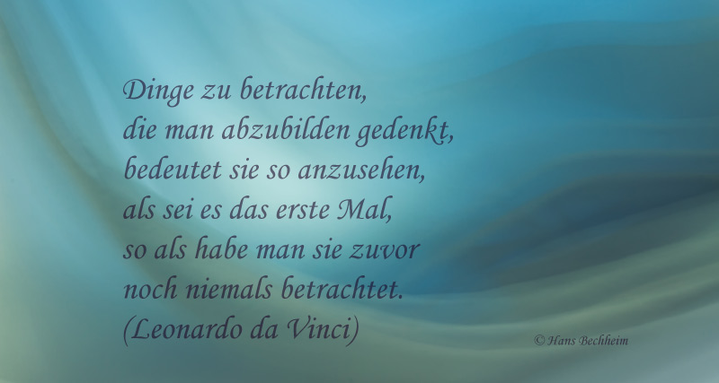 Davinci Spruch