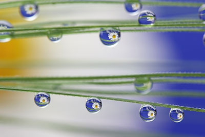 fotografieren lernen; Makrofotografie; Fotografieren; Wassertropfen