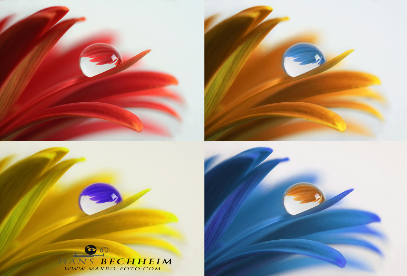 Photoshop, Tutorial, Farben verndern, Tropfenbild, 4 Farben, Komplementrfarben.