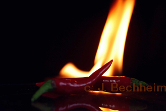 Chilis mit Flamme scharf und hot, Gratisdownload, geld verdienen, geld mit eigenen Fotos, Newsletterbestellung, Fototips, Fotografie, Makrofotografie, ntzlicher Content, Informationen,  Verdienst, Zusatzverdienst, Foto-newsletter, Erfolg, erfolgreich, Infos, Info, Reichtum, makrofotos, verkaufen, Verkauf, Fotos, Bilderagentur, Geld, verdienen