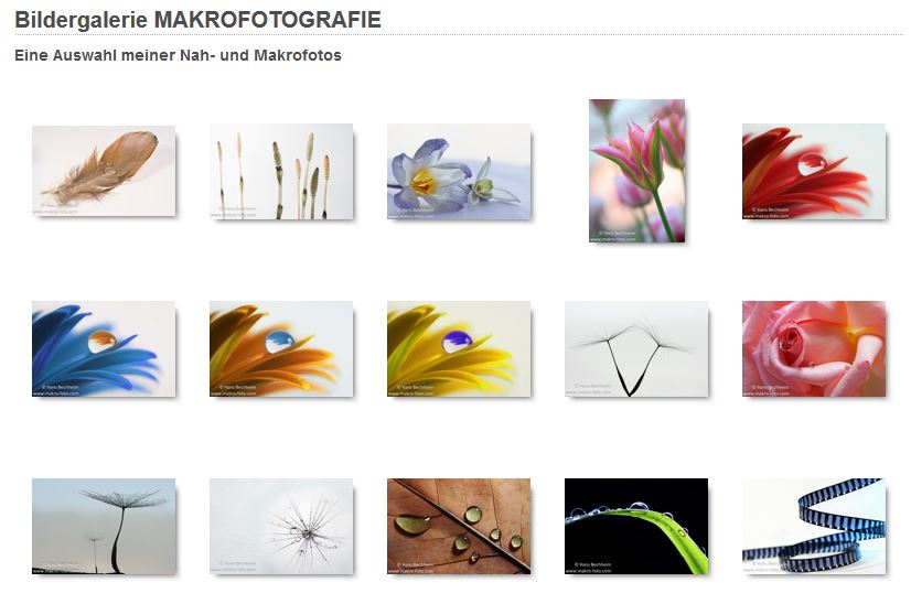 Bildergalerie, Makrofotografie, Makrofotos, Makro,  Bilder